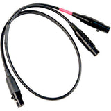 Remote Audio CASDTYLEC TA3F to Dual TA5F Mix Out Cable for Lectrosonics 18 in