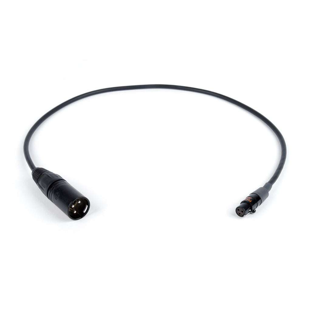 Remote Audio CAT3FX3M24 TA3F to XLR3M Balanced Adapter Cable 2 ft