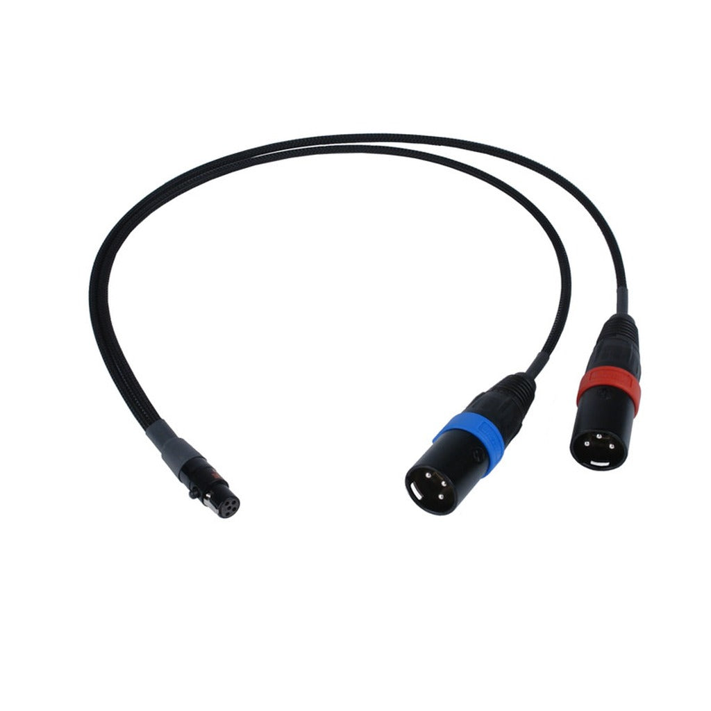 Remote Audio CAT5F2X3M18 TA5F to Dual XLR3M Balanced Stereo Breakout 18 in