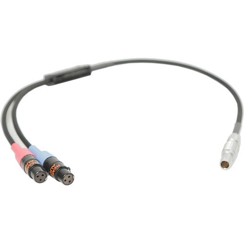 Remote Audio CATSTEL6M Dual TA3F to 6-Pin LEMO Stereo Cable for Alexa Mini LF