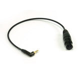 Remote Audio CAX3F1/8BAL XLR3F to 3.5mm RA TRS Cable for RED Epic/Scarlet