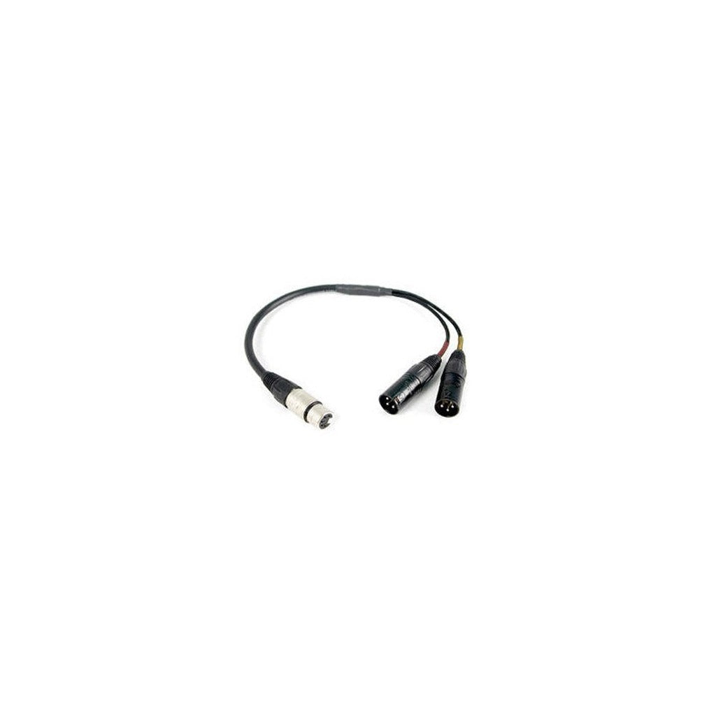 Remote Audio CAXSTE25 XLR5F to Dual XLR3M Balanced Stereo Breakout Cable 25 ft