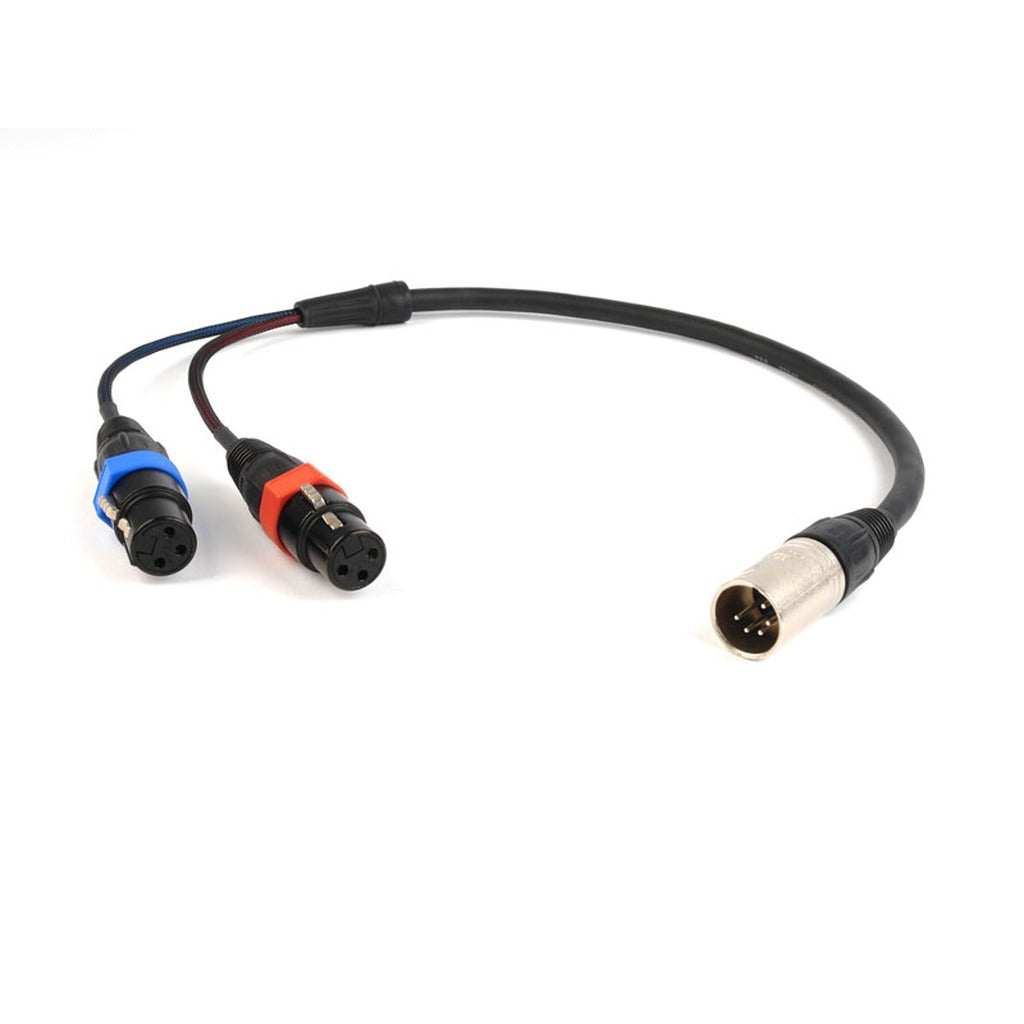Remote Audio CAXSTEX5M Dual XLR3F to XLR5M Balanced Stereo Input Cable 18 in