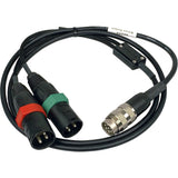 Remote Audio NAGSOX 7-Pin Tuchel to 2 XLR3M Output Cable for Nagra IV-S 48 in