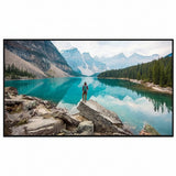 Sharp PN-M862 4K UHD Professional Display, 86 Inch