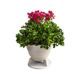 SoundTube OmniPlanter 6.5 Series Omnidirectional Outdoor Planter Speaker