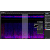 Steinberg SpectraLayers Pro 12 Competitive Crossgrade Spectral Audio Editing Software