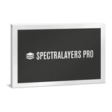 Steinberg SpectraLayers Pro 10 Advanced Audio Spectrum Editor, Download Only