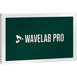 Steinberg DAC WaveLab Elements 12 Retail Audio Editing and Mastering Software