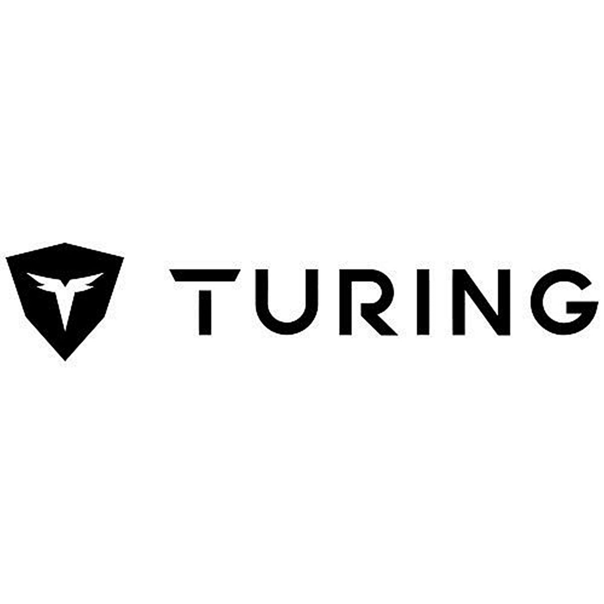 Turing Video Bullet Camera 2.8-12mm Lens