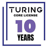 Turing Video Vision VSaaS Core License Year/Camera