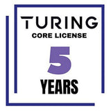 Turing Video Vision VSaaS Core License Year/Camera