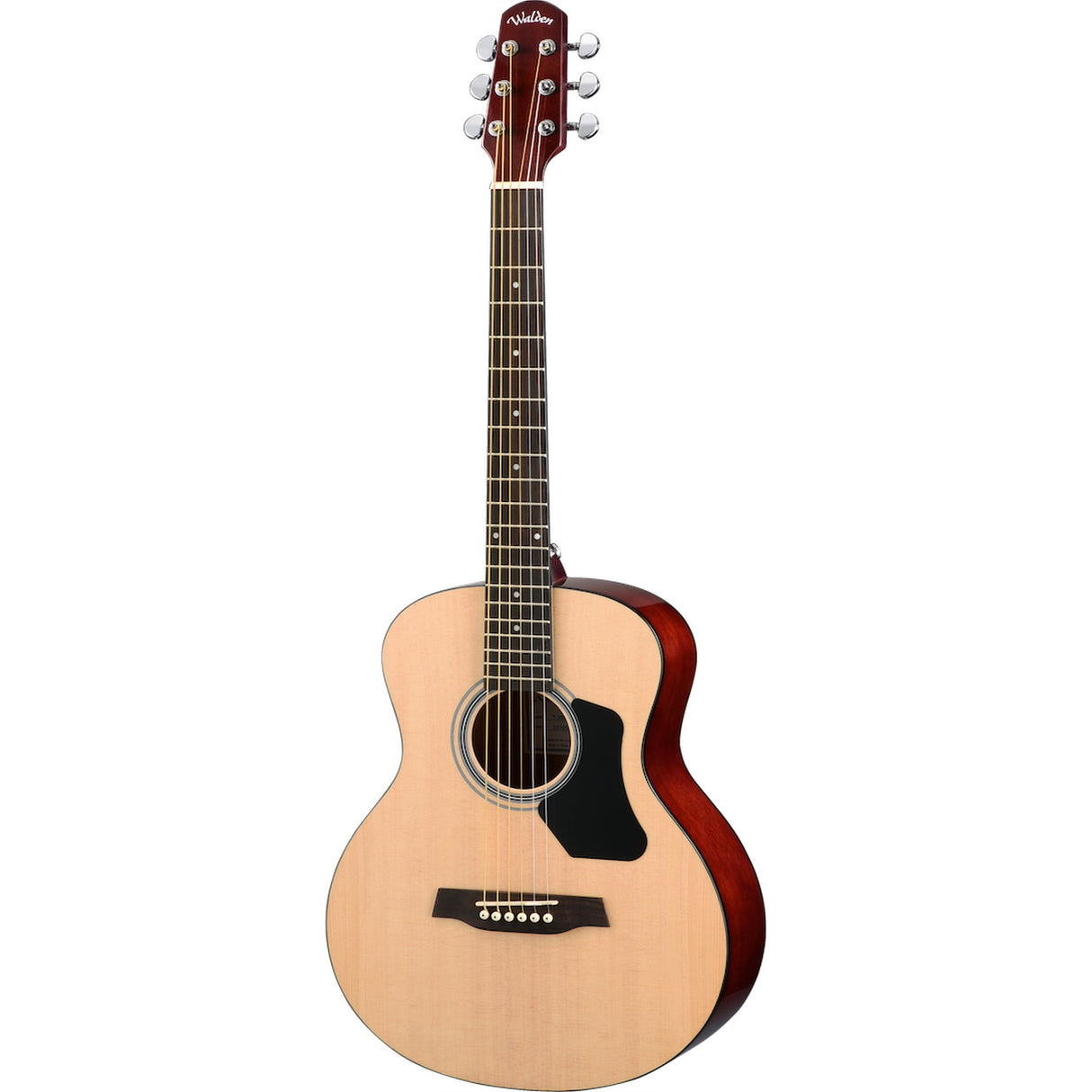 Walden T350/W Standard 300 7/8 Size Travel Body 6-String Acoustic Guitar, Gloss Finish