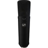 Warm Audio WA-87 R2 FET Condenser Microphone