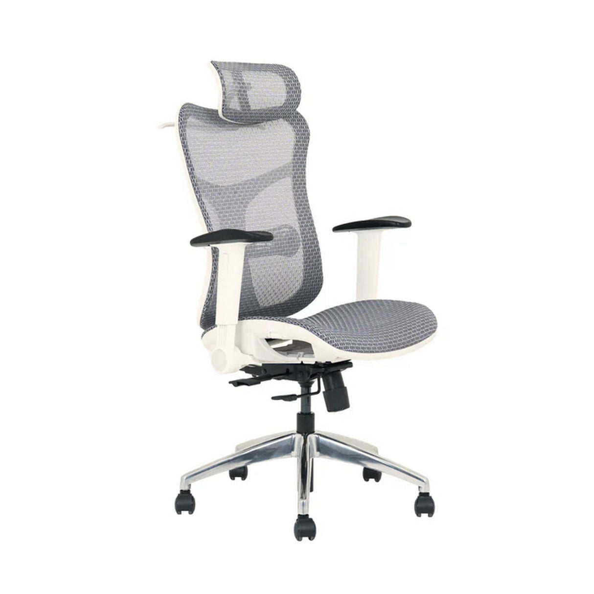 Wavebone Viking Multifunctional Studio Chair