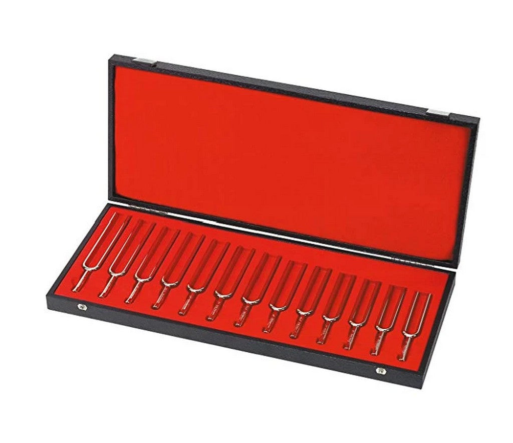 Wittner TFSCC Chromatic Tuning Fork Set With Deluxe Case