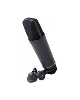 Neumann TLM 193 | Cardioid Mic with K89 Capsule, includes SG1 and Woodbox Matte Black