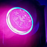 Blizzard Lighting Typhon IP Kaleido IP66-Rated RGBW LED Pixel Beam/Wash Moving Head