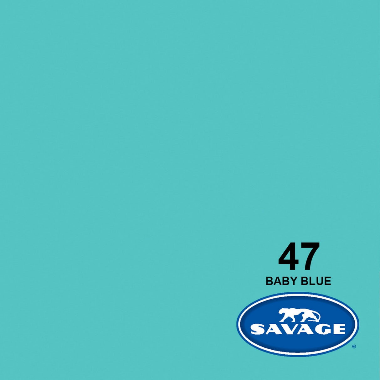 Savage 26-Inch x 12-Yards Widetone Seamless Background Paper, Baby Blue