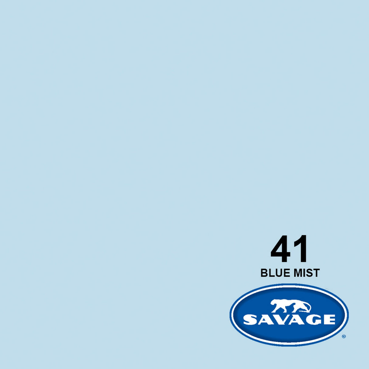 Savage 26-Inch x 12-Yards Widetone Seamless Background Paper Blue Mist