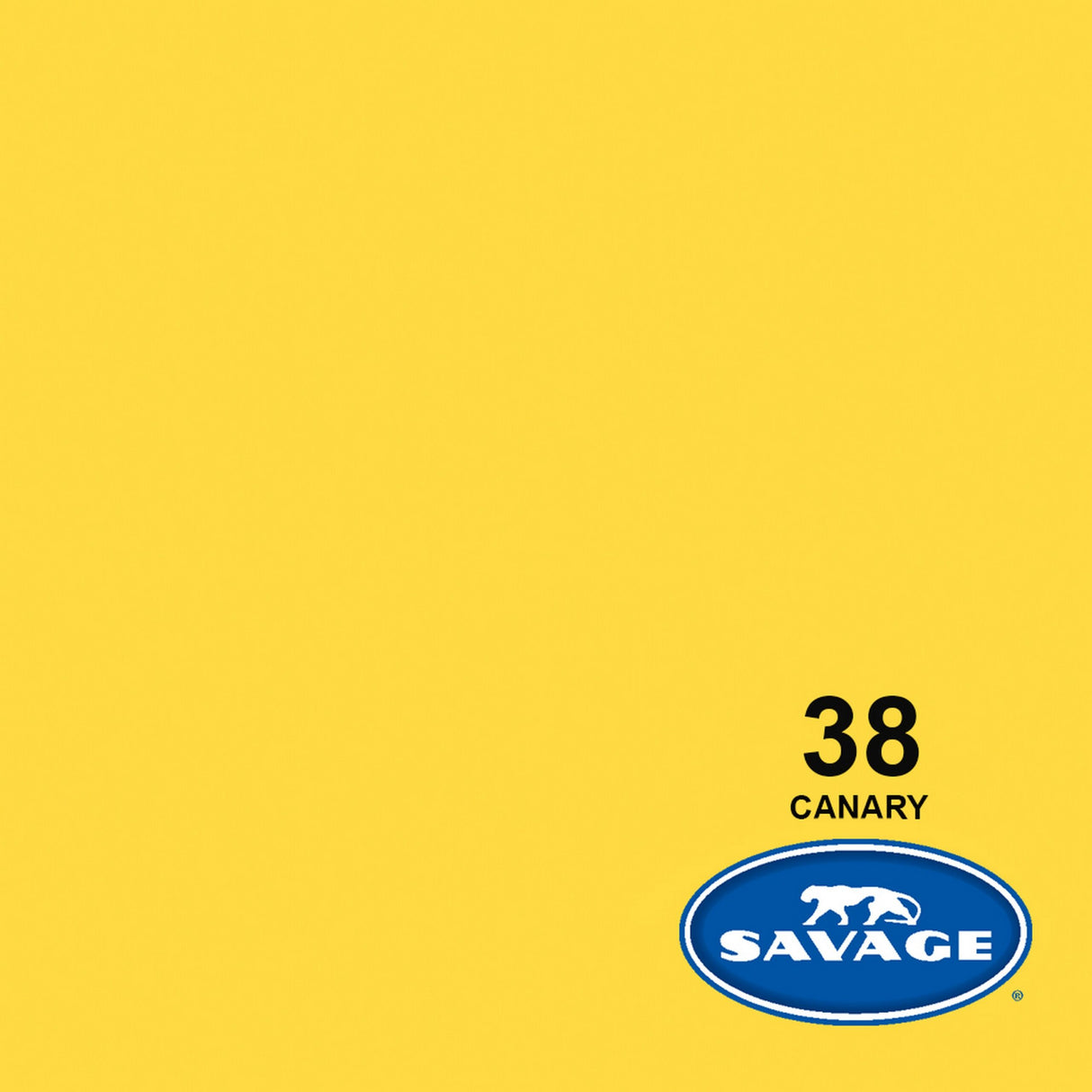 Savage 26-Inch x 12-Yards Widetone Seamless Background Paper, Canary