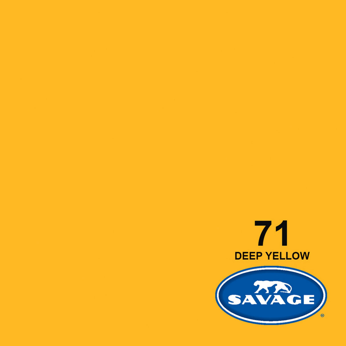 Savage 71-50 107-Inch x 50-Yards Widetone Seamless Background Paper, Deep Yellow