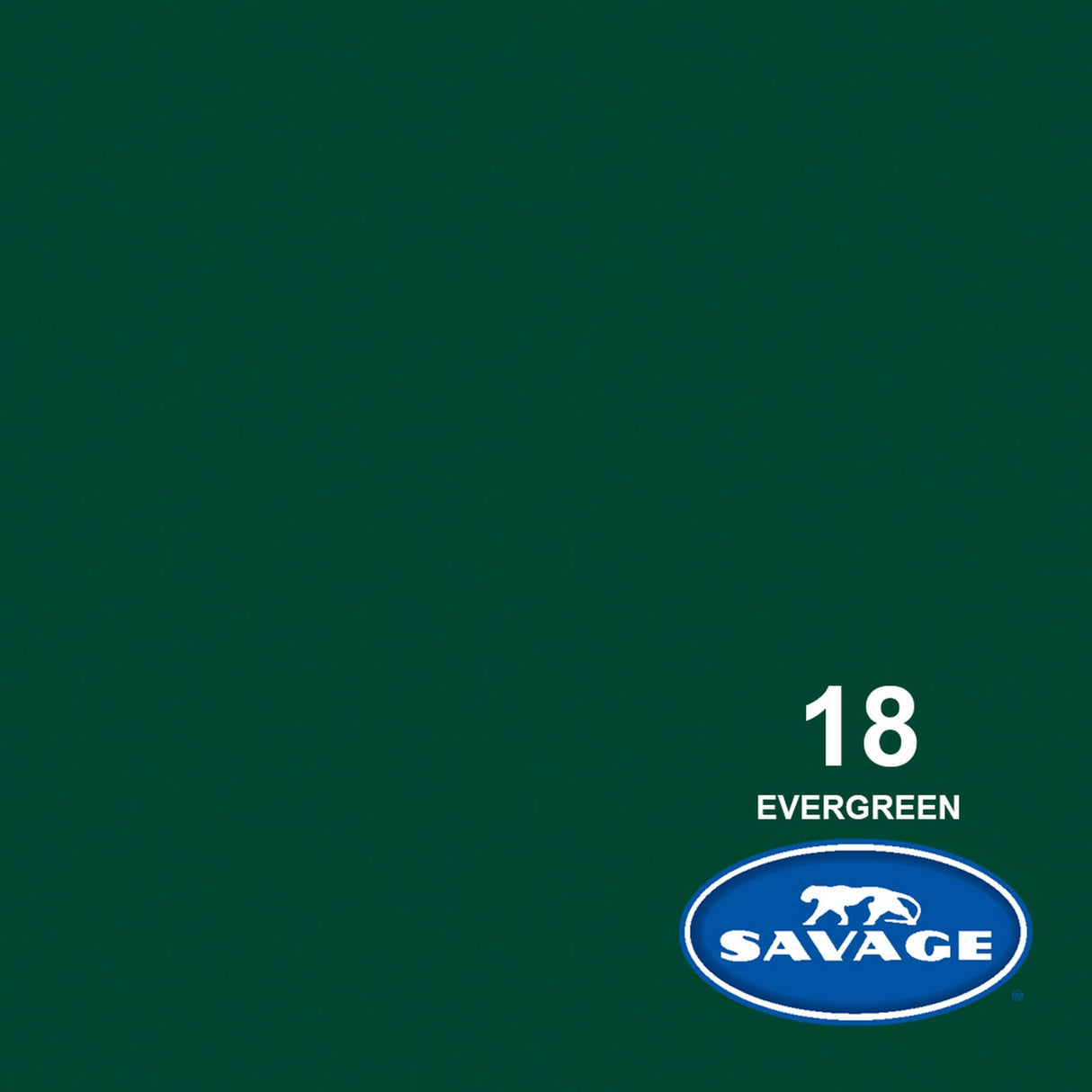 Savage 107-Inch x 12-Yards Widetone Seamless Background Paper, Evergreen