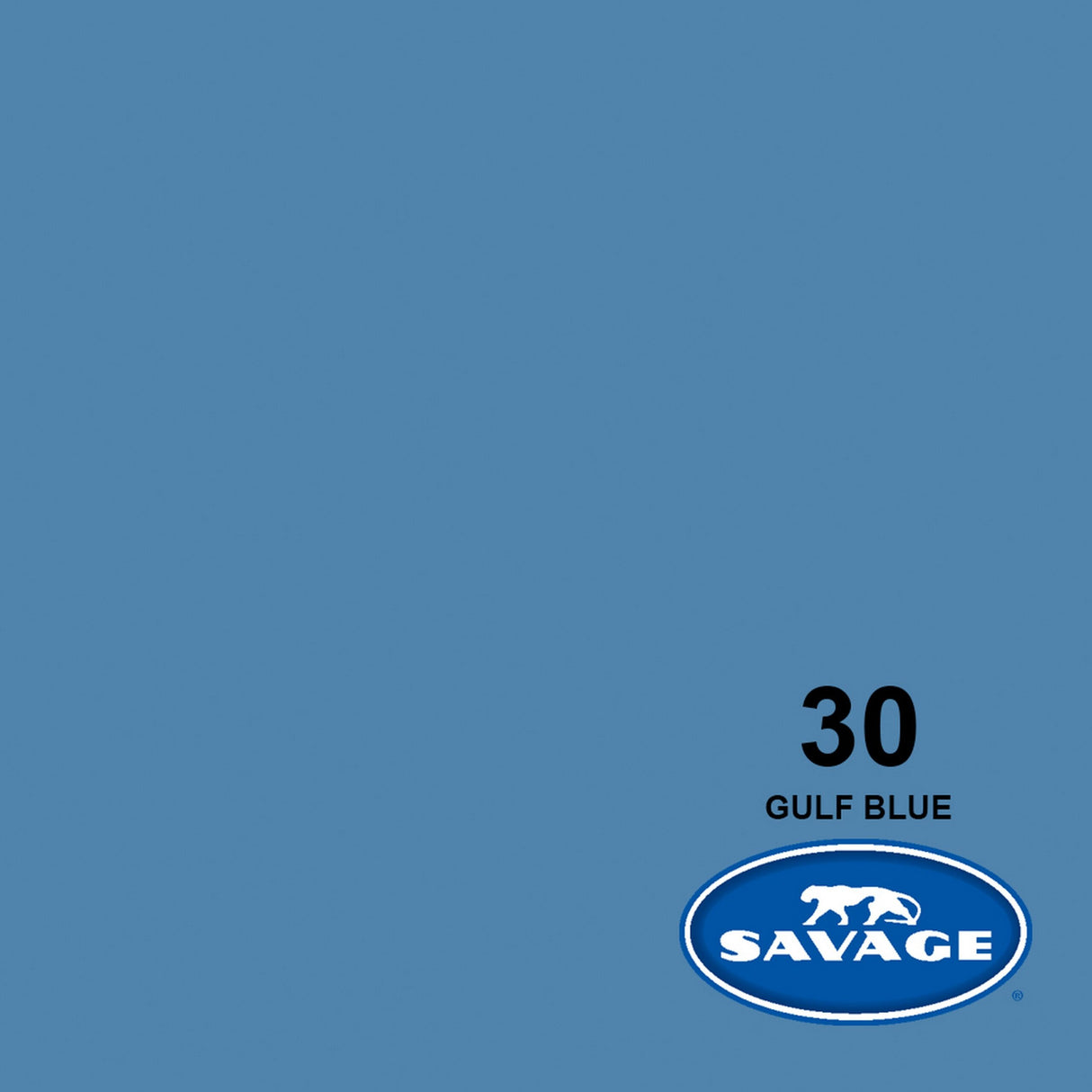 Savage 26-Inch x 12-Yards Widetone Seamless Background Paper Gulf Blue