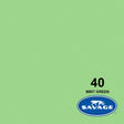 Savage 107-Inch x 12-Yards Widetone Seamless Background Paper Mint Green
