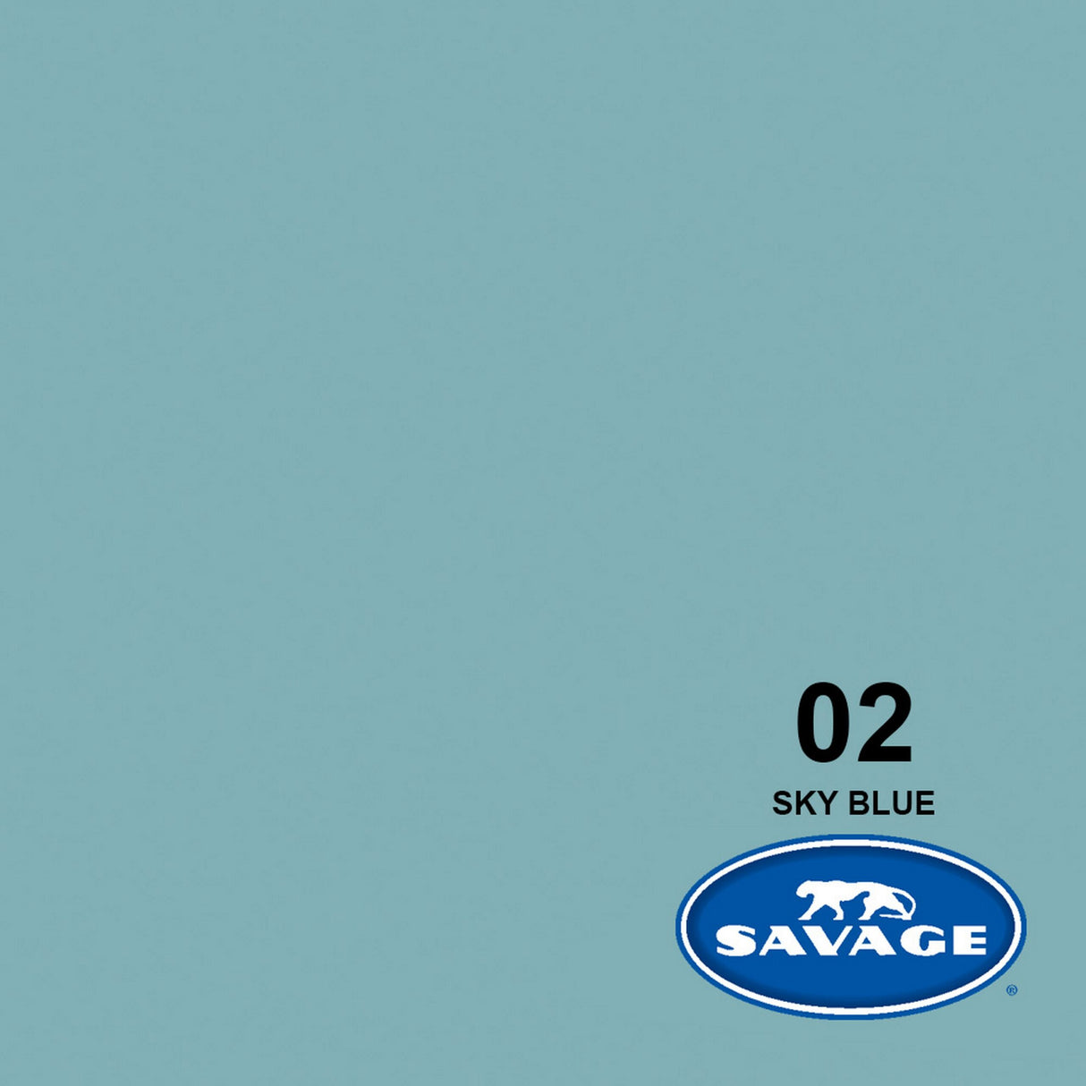 Savage 53-Inch x 12-Yards Widetone Seamless Background Paper Sky Blue