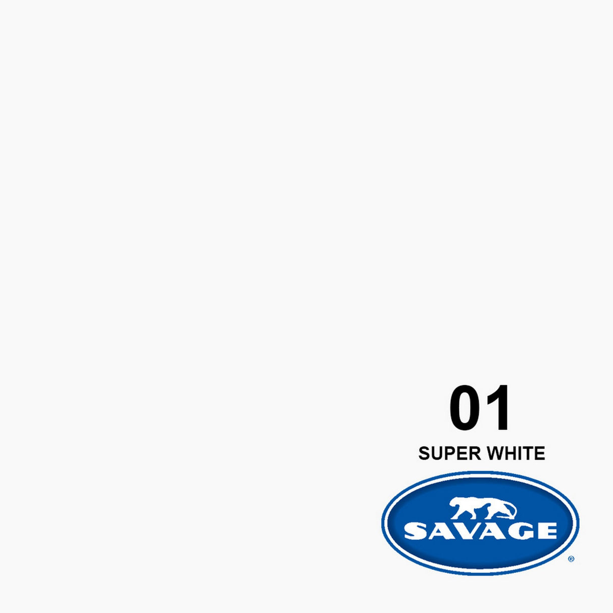 Savage 53-Inch x 12-Yards Widetone Seamless Background Paper Super White