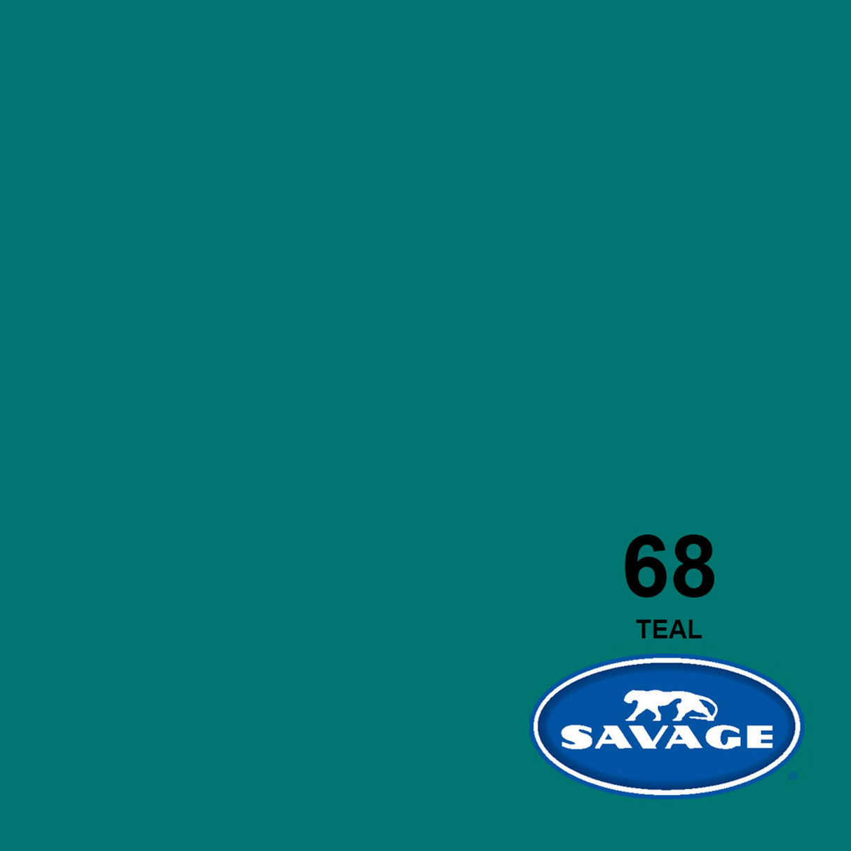 Savage 107-Inch x 50-Yards Widetone Seamless Background Paper, Teal