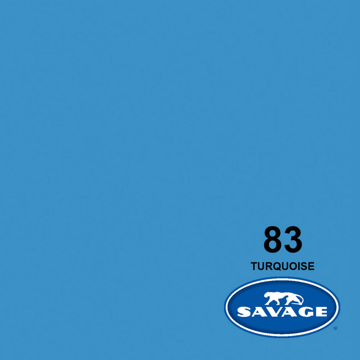 Savage 107-Inch x 12-Yards Widetone Seamless Background Paper Turquoise