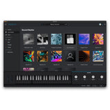 ARTURIA Pigments 6 Software Synthesizer
