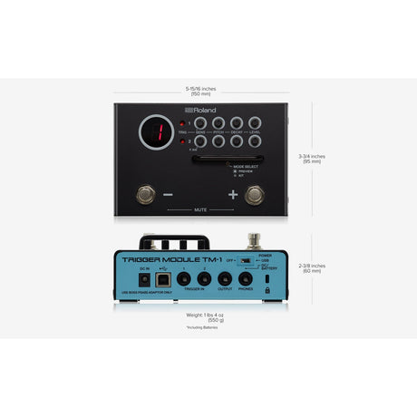 Roland Trigger Module TM-1 with dimensions and specifications on a white background