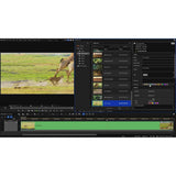 EDIUS 11 Workgroup Education Video Editing Software, Download Only