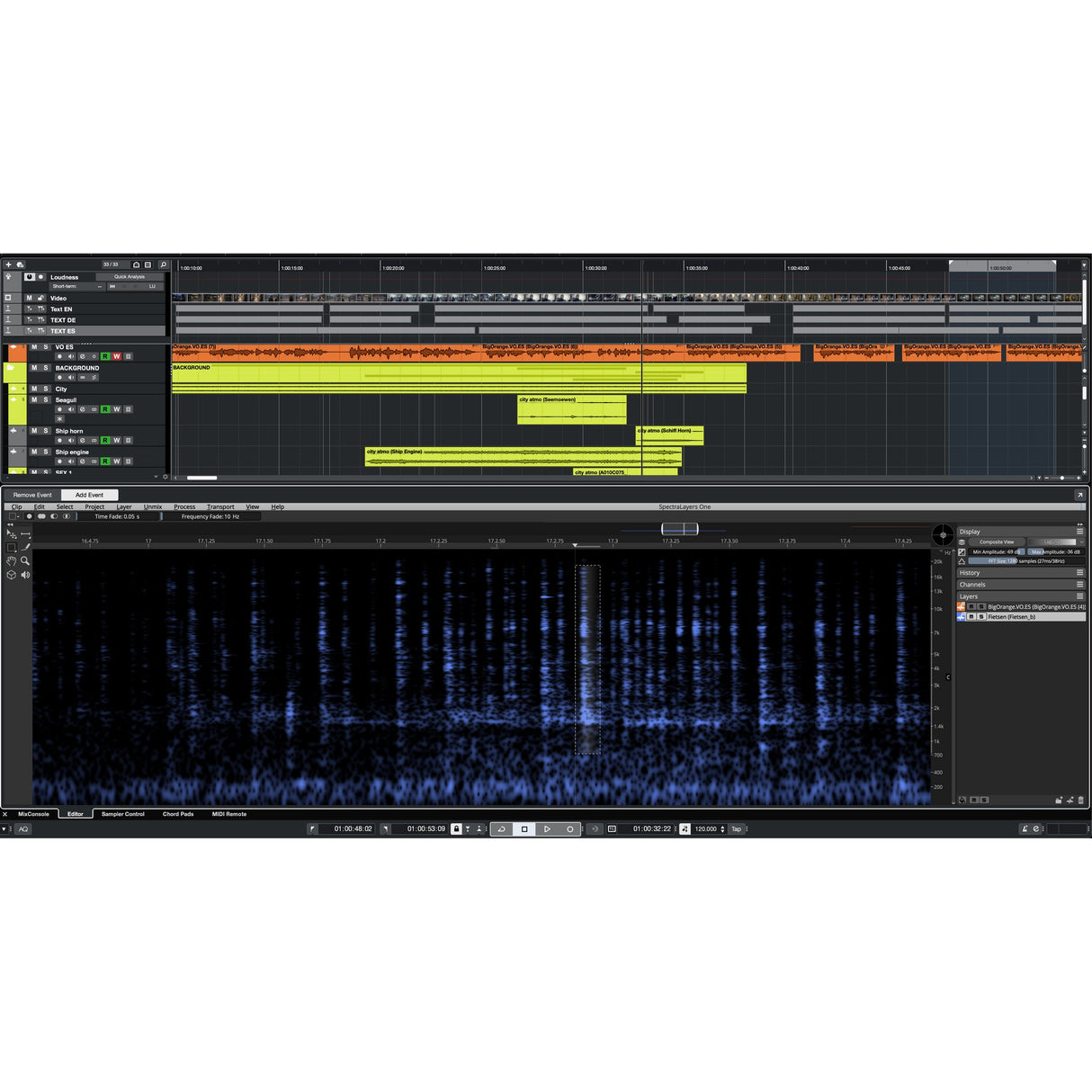 Steinberg Nuendo 13 Audio Post-Production Software, Download Only