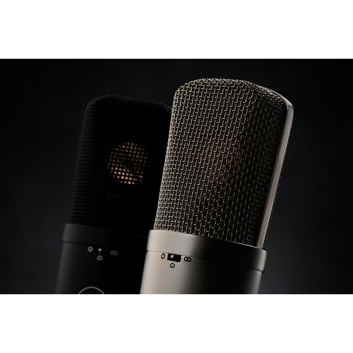 Warm Audio WA-87 R2 FET Condenser Microphone