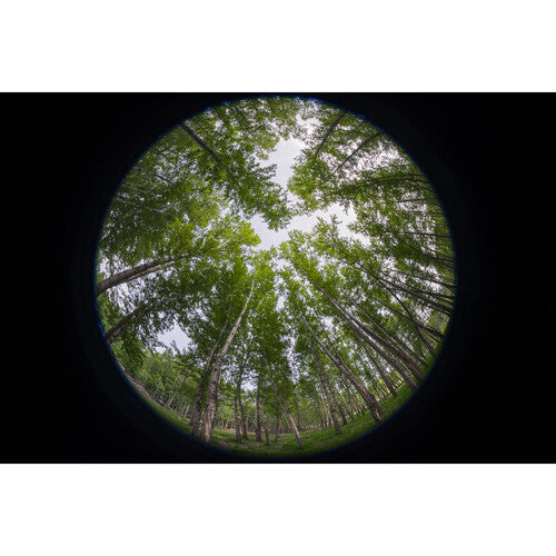 Venus Optics Laowa 8-15mm f/2.8 FF Zoom Fisheye Lens