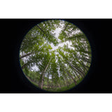 Venus Optics Laowa 8-15mm f/2.8 FF Zoom Fisheye Lens