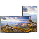 Sharp NEC PN-E439 43-Inch 4K UHD Commercial Display