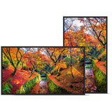 Sharp NEC PNE759 75-Inch 4K UHD Professional Display