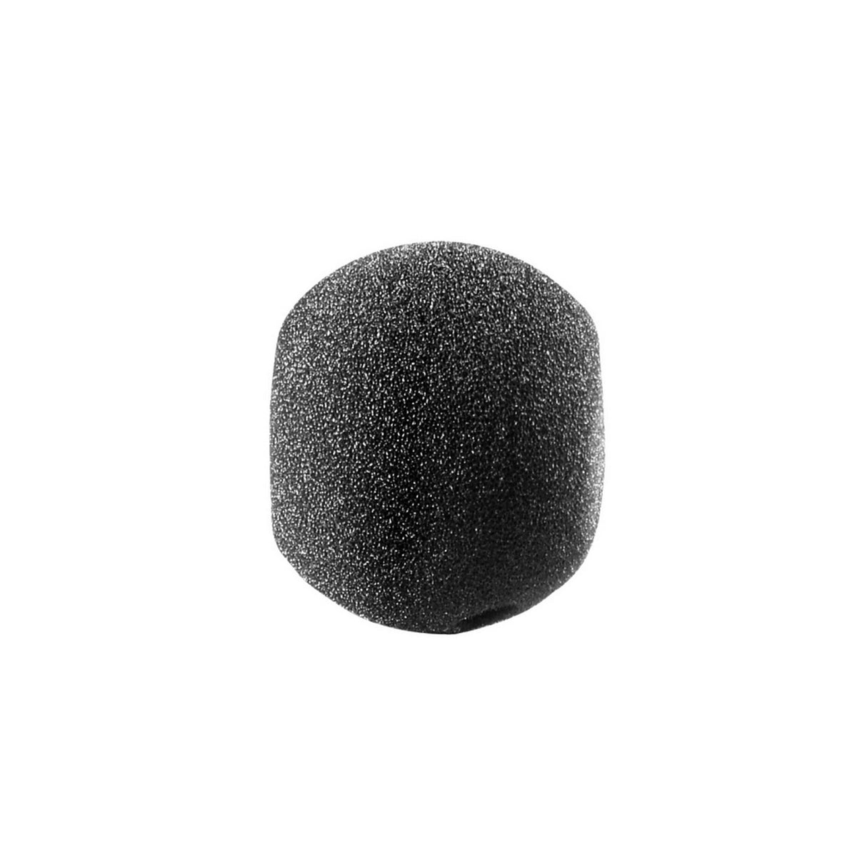 Audio-Technica AT8125 Large Foam Windscreen for ATM73