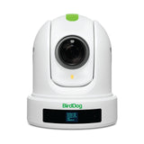 BirdDog P110 Full NDI 1080P 10x Zoom PTZ Camera, White