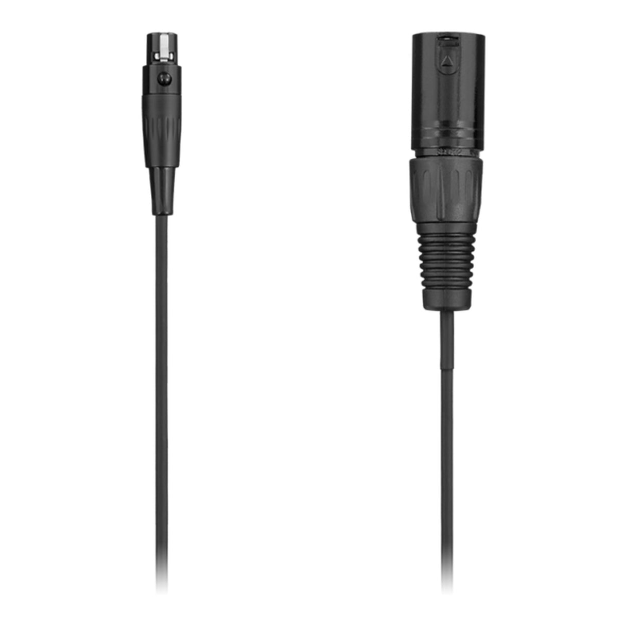 Audix CBLM50 50-Foot Mini-XLR Female to Standard XLR Male Cable