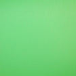 Savage 10 x 20-Foot Solid Vinyl Backdrop Background Chroma Green