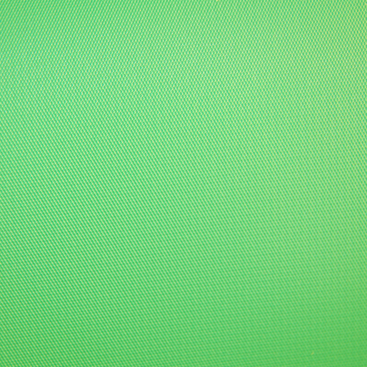 Savage 10 x 20-Foot Solid Vinyl Backdrop Background Chroma Green