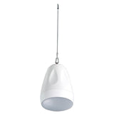 Cloud Electronics CVS-P62TW 4-1/2 Inch 2-Way Coaxial Pendant Speaker White Single Unit