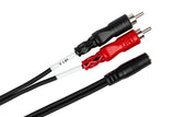 Hosa CFR-210 10 Foot 3.5mm TRSF to Dual RCA Stereo Breakout Cable