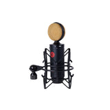 Direct Sound DS-60 Large Diaphragm Condenser Microphone